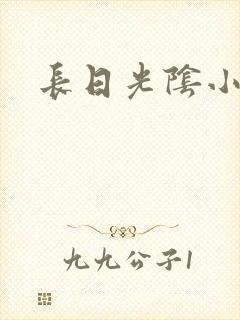 长日光阴小说