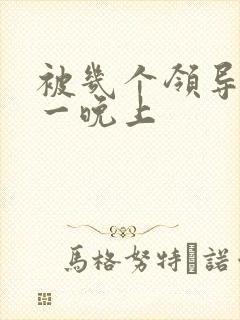 被几个领导玩弄一晚上