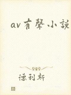 av有声小说