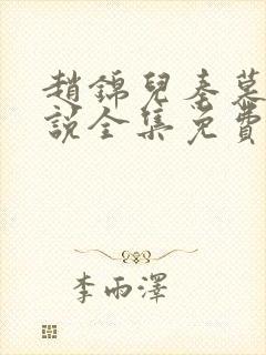 赵锦儿秦慕修小说全集免费封面