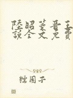 陆昭菱晋王的小说全文免费阅读
