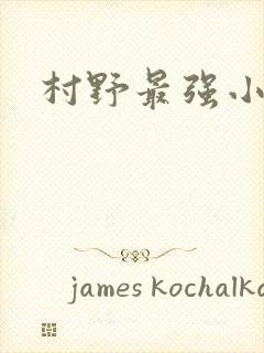 村野最强小农民
