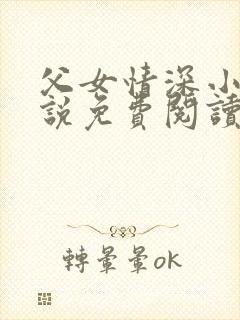 父女情深小兰小说免费阅读全文封面