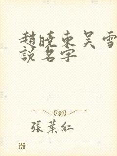 赵晓东吴雪晴小说名字