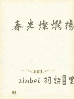 春光灿烂杨家将