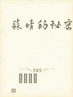 苏晴的秘密小说封面