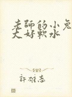 老师的小兔子好大好软水