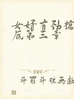 女婿有劲枪枪到底第三章封面