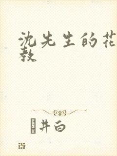 沈先生的花式管教