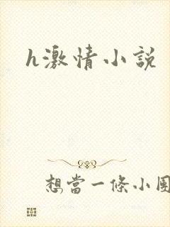 h激情小说
