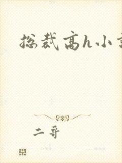 总裁高h小说