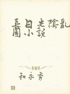 长日光阴乱作一团小说