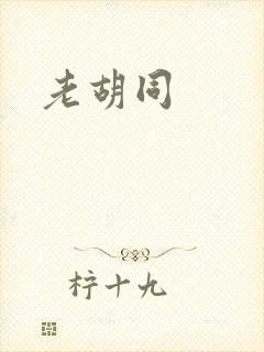 老胡同