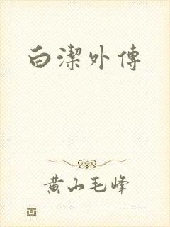 白洁外传封面