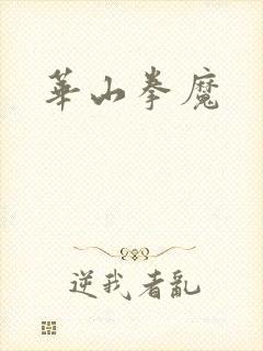 华山拳魔封面