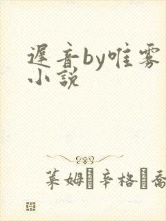迟音by唯雾的小说封面