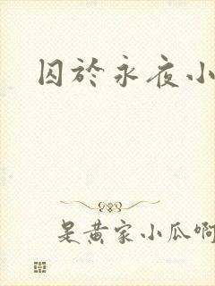 囚于永夜小说