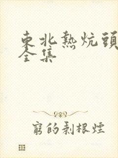 东北热炕头小说全集封面