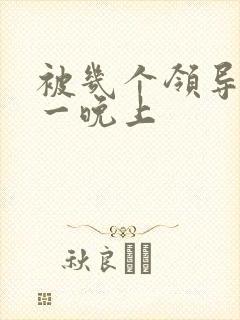 被几个领导玩弄一晚上
