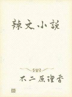 辣文小说封面