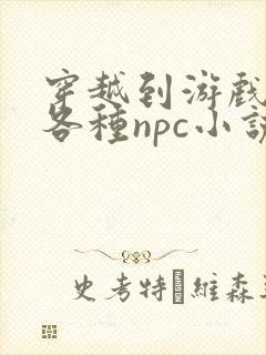 穿越到游戏里和各种npc小说