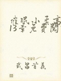 催眠小柔高达第13章免费阅读
