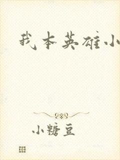 我本英雄小说