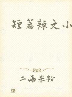 短篇辣文小说