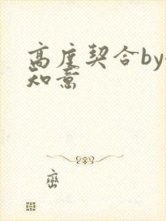 高度契合by洛知意