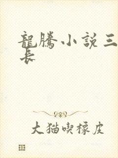 龙腾小说三宝局长