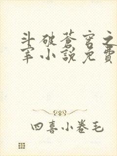 斗破苍穹之大主宰小说免费阅读全文