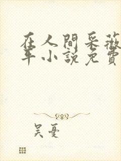 在人间采薇陆三平小说免费阅读封面
