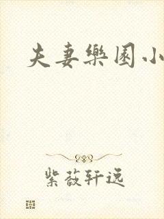 夫妻乐园小说封面