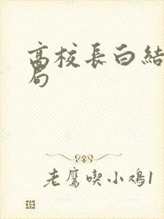 高校长白结大结局