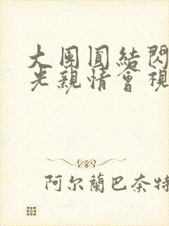 大团圆结闪闪发光亲情会视频