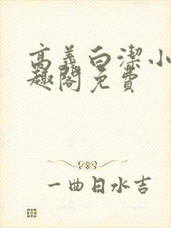 高义白洁小说笔趣阁免费