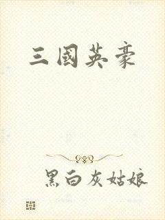 三国英豪封面
