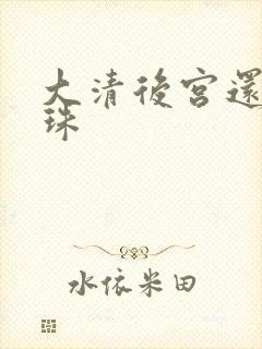 大清后宫还君明珠