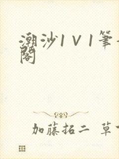 潮沙1∨1笔趣阁