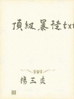 顶级暴徒txt