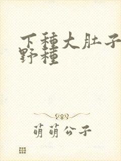 下种大肚子怀孕野种