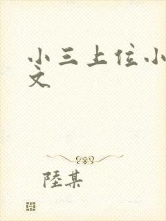 小三上位小说全文