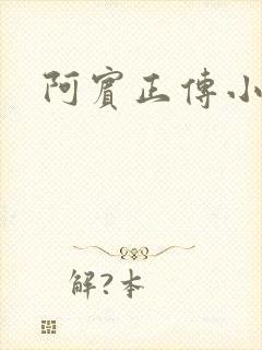 阿宾正传小说