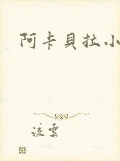 阿卡贝拉小说