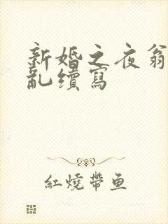 新婚之夜翁莹情乱续写