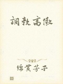 调教高傲封面