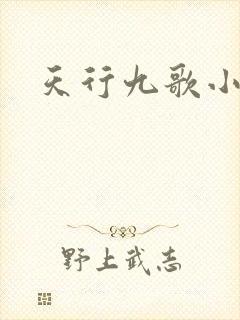 天行九歌小说封面