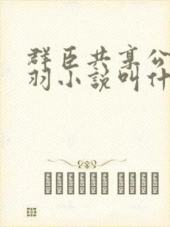 群臣共享公主银羽小说叫什么