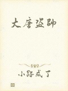 大唐盗帅