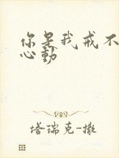你是我戒不掉的心动